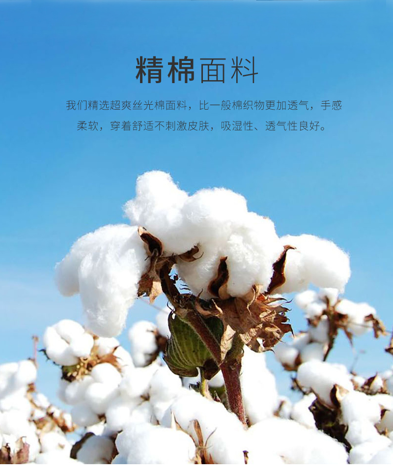 T恤订制 材质